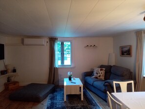 Télévision, cheminée, table de tennis de table