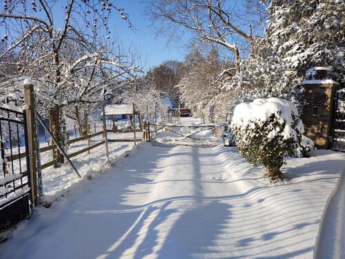 Holiday home alpaca view 🦙