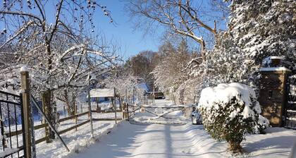 Holiday home alpaca view 蓮