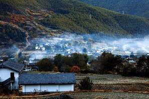 A rural village with houses, fields, and a mountain in the background.