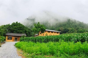 A rural setting with a small building, a path leading to it, and a field of crops.