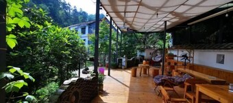 Meet Cat Inn