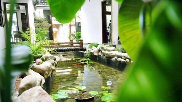 A tranquil indoor pond with rocks and lily pads, surrounded by lush greenery and a wooden bench. - Zhen'Gan Club (Fenghuang County)