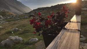 Un banc avec un pot de fleurs dans une région montagneuse.