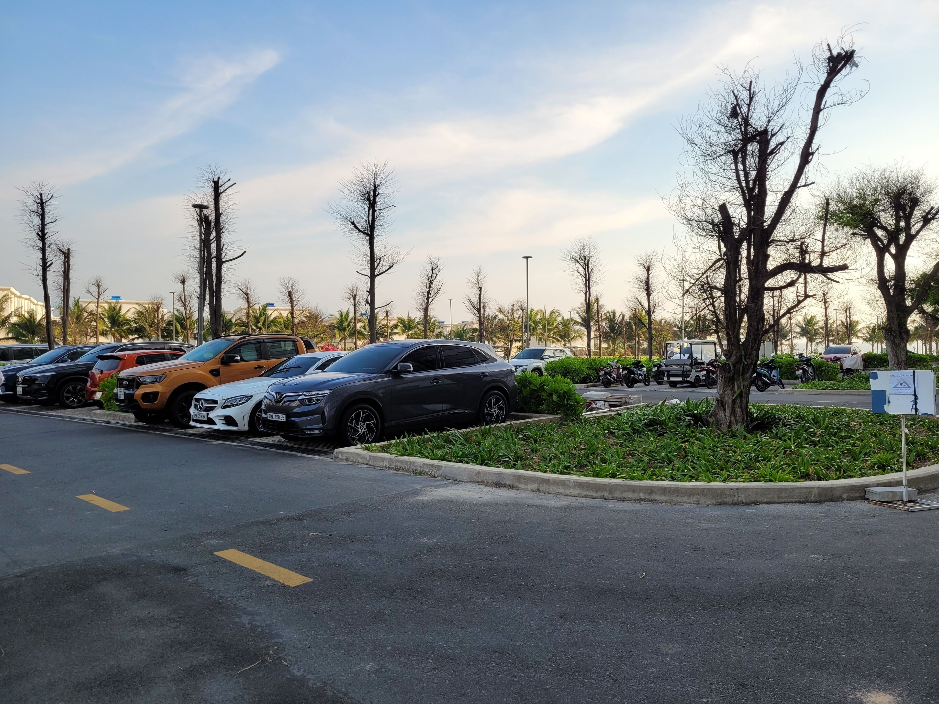 Un estacionamiento con varios autos y motocicletas, rodeado de árboles y follaje.