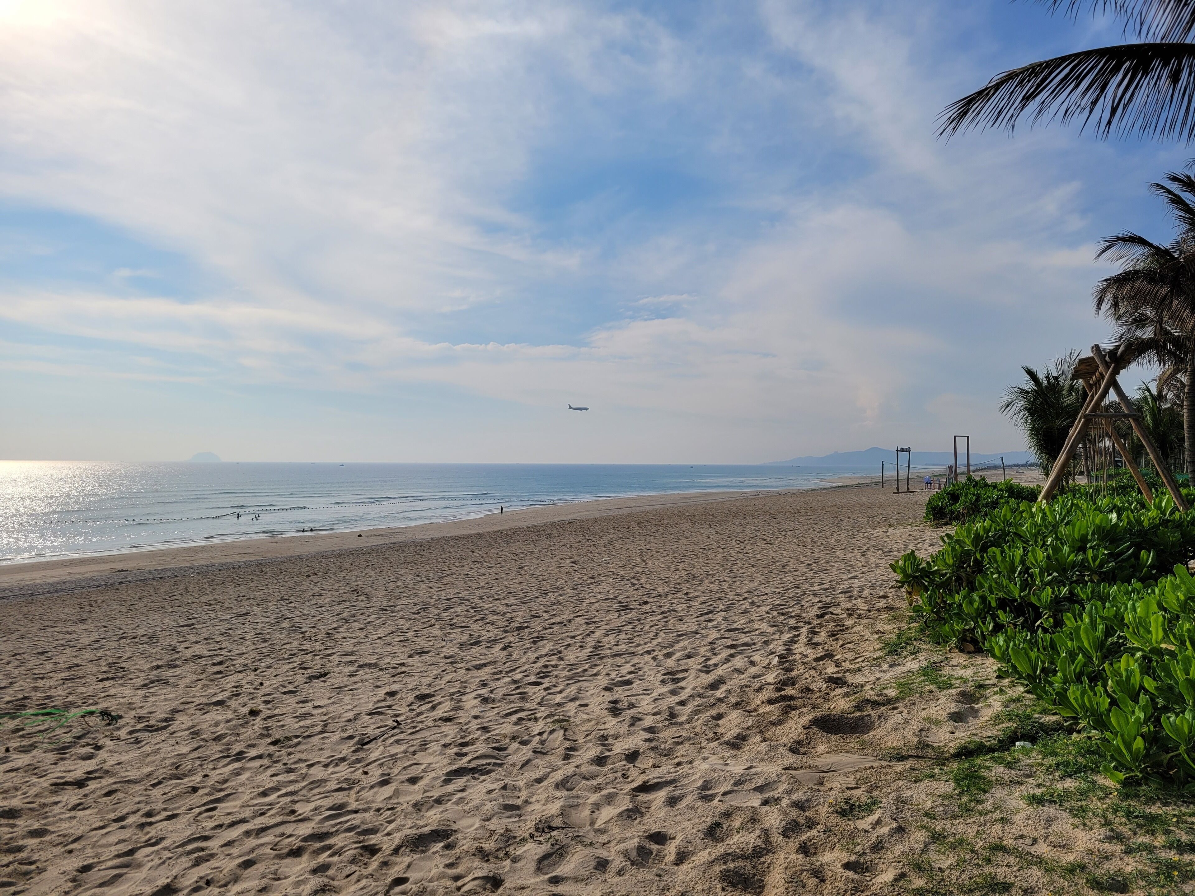 A beach with a clear sky, a plane flying overhead, and palm trees.
