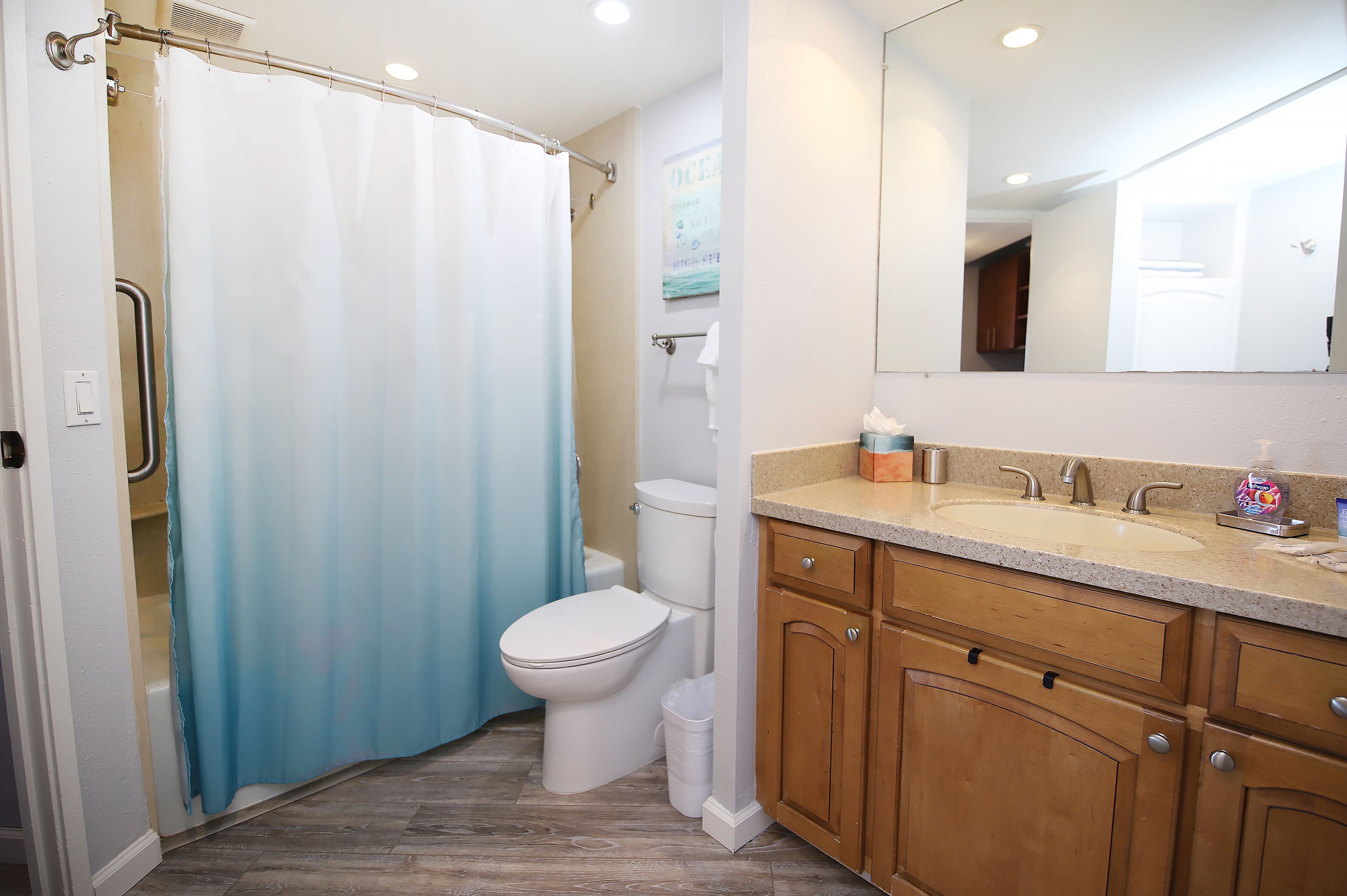 Bathtub, hair dryer, towels, soap