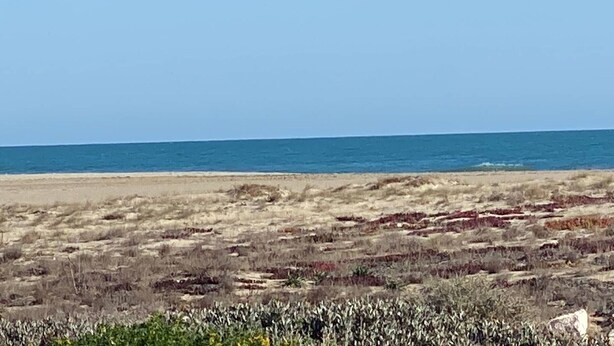 Una playa con cielo despejado y mar tranquilo.