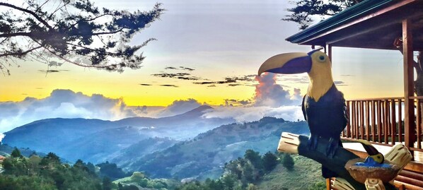 A toucan perched on a wooden railing overlooking a mountainous landscape with a sunset. - Full house with breathtaking views (San José)