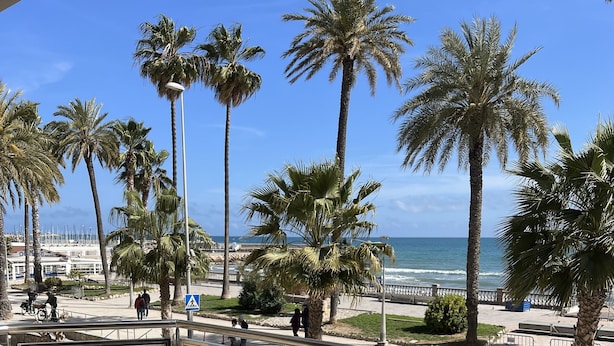 A dining area with tables set for two, overlooking a beach with palm trees and a marina.