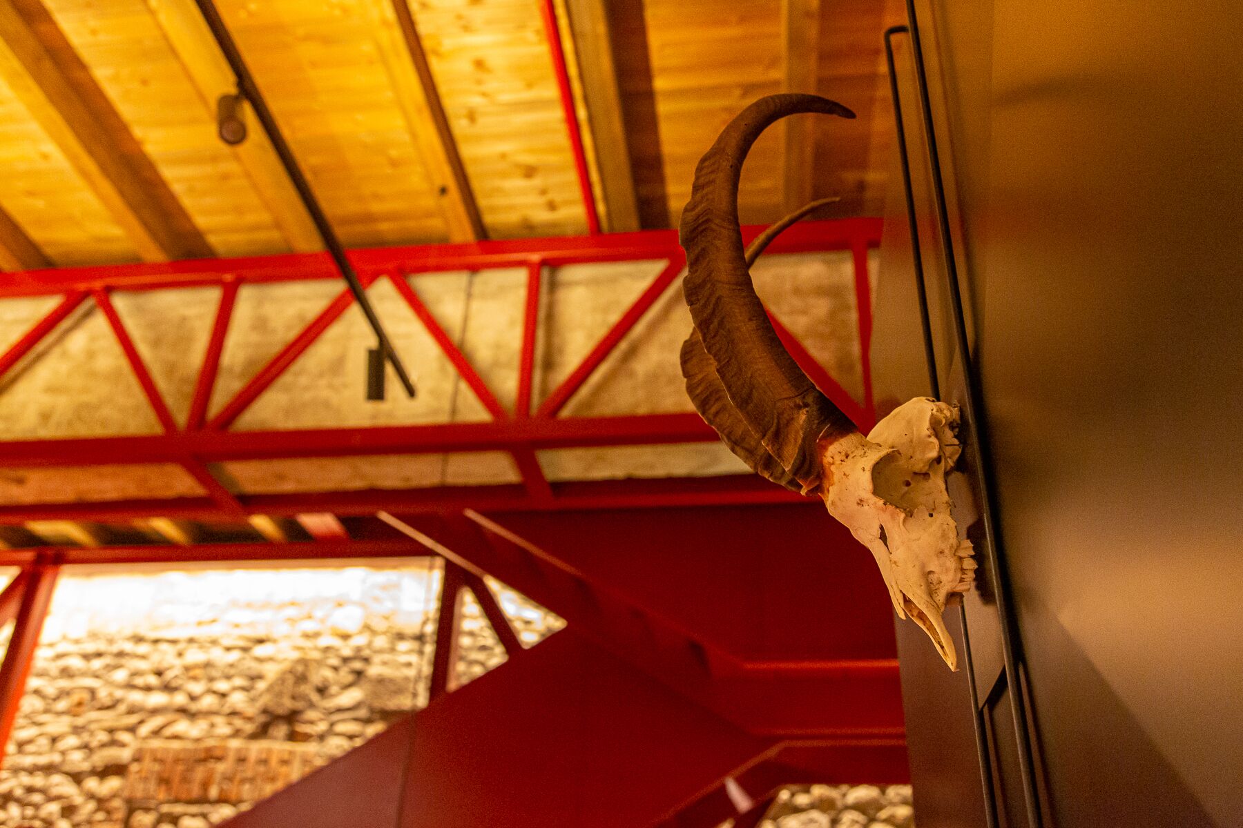 Ein Horn, das an einer Wand in einem Raum mit Holzboden und roten Stützen befestigt ist.