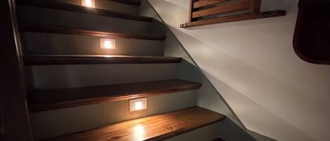 A staircase with wooden steps and built-in lighting.