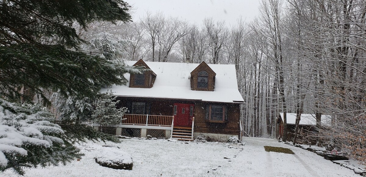 Imagen de perfil del propietario o de la propietaria