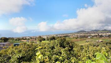 Un vignoble offrant une vue sur une ville et des montagnes au loin.