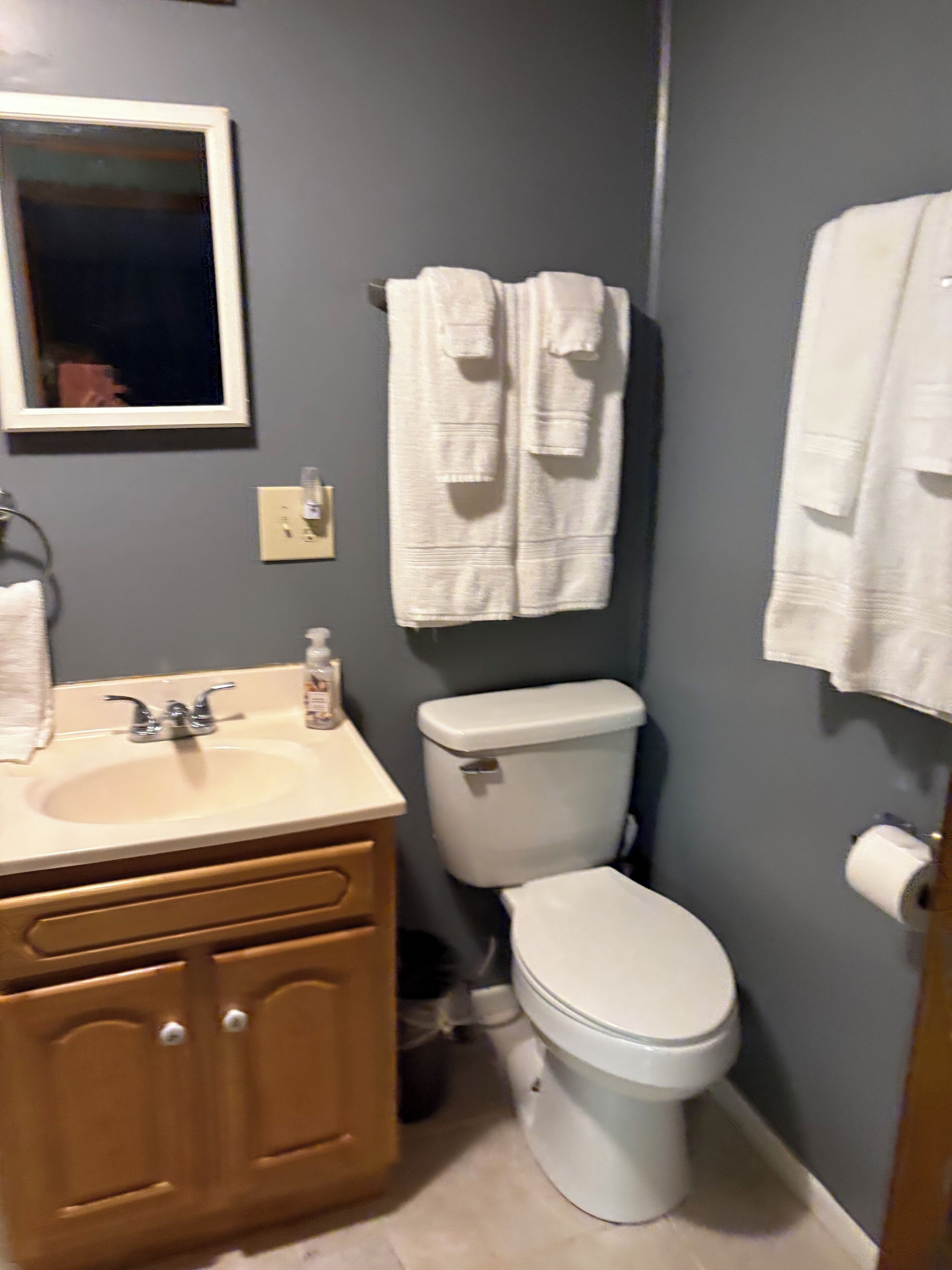 Ein Badezimmer mit Waschbecken, Spiegel, Handtuchhalter, Toilette und Toilettenpapier.