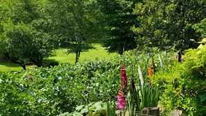 Un jardin avec différentes sortes de plantes et une clôture en bois.
