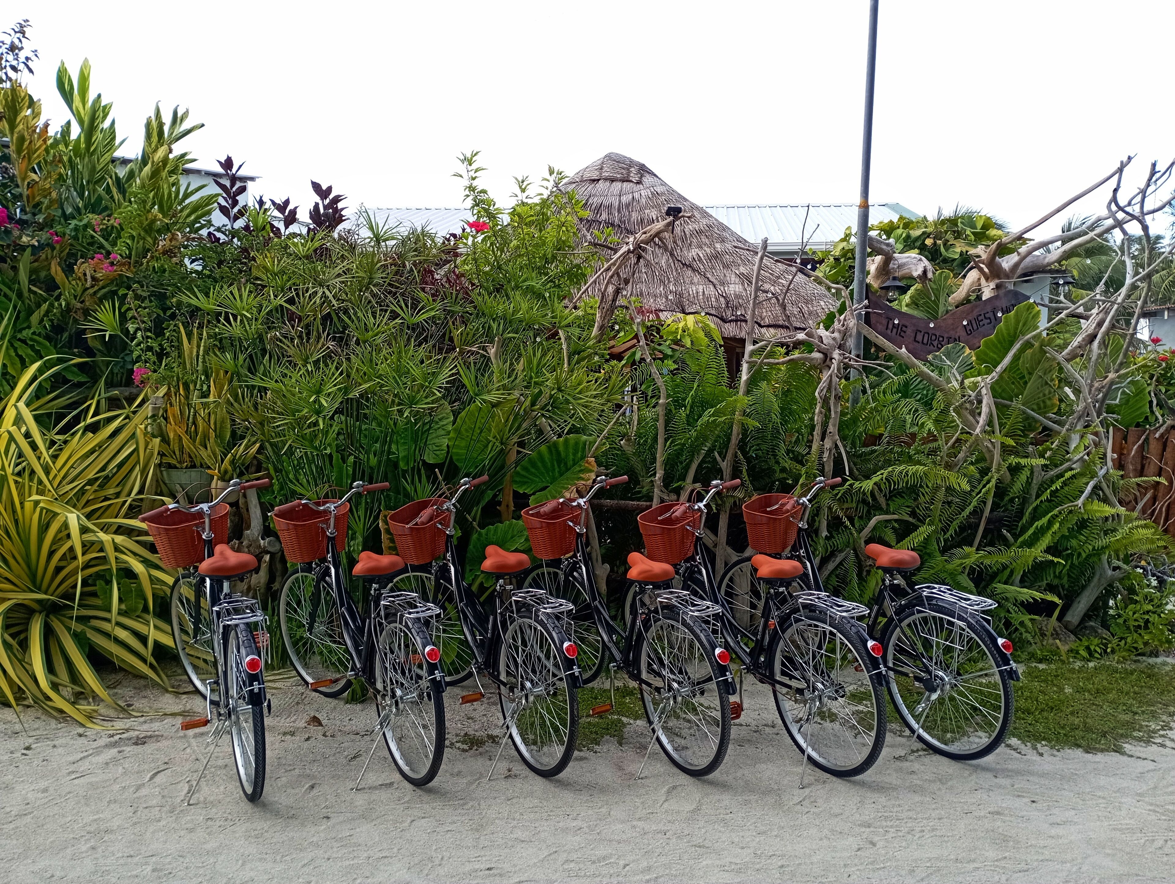 A row of bicycles with baskets, parked in a lush garden area with dense foliage and a thatched-roof structure in the background.