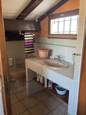 Shower, hair dryer, towels - Between Avignon and Ventoux, garden villa, swimming pool (Entraigues-sur-la-Sorgue)