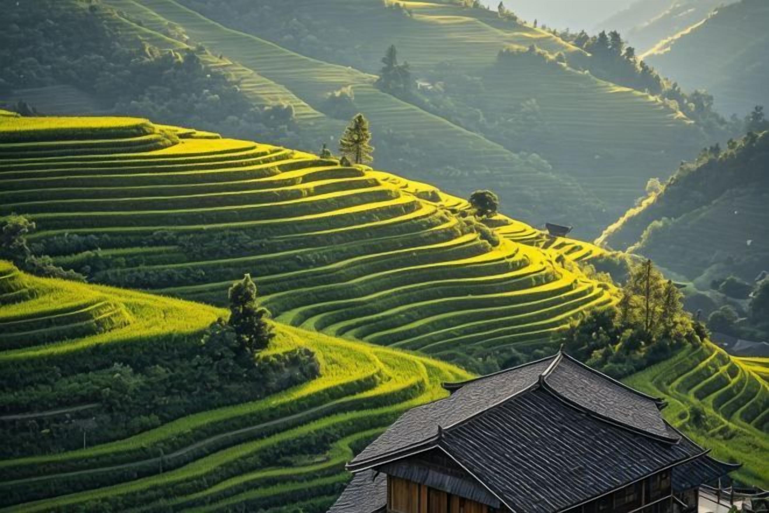 Terraced fields with a traditional building in the foreground.