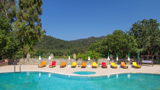 Une piscine entourée d’arbres et d’un mur de pierre, avec plusieurs chaises longues et parasols.
