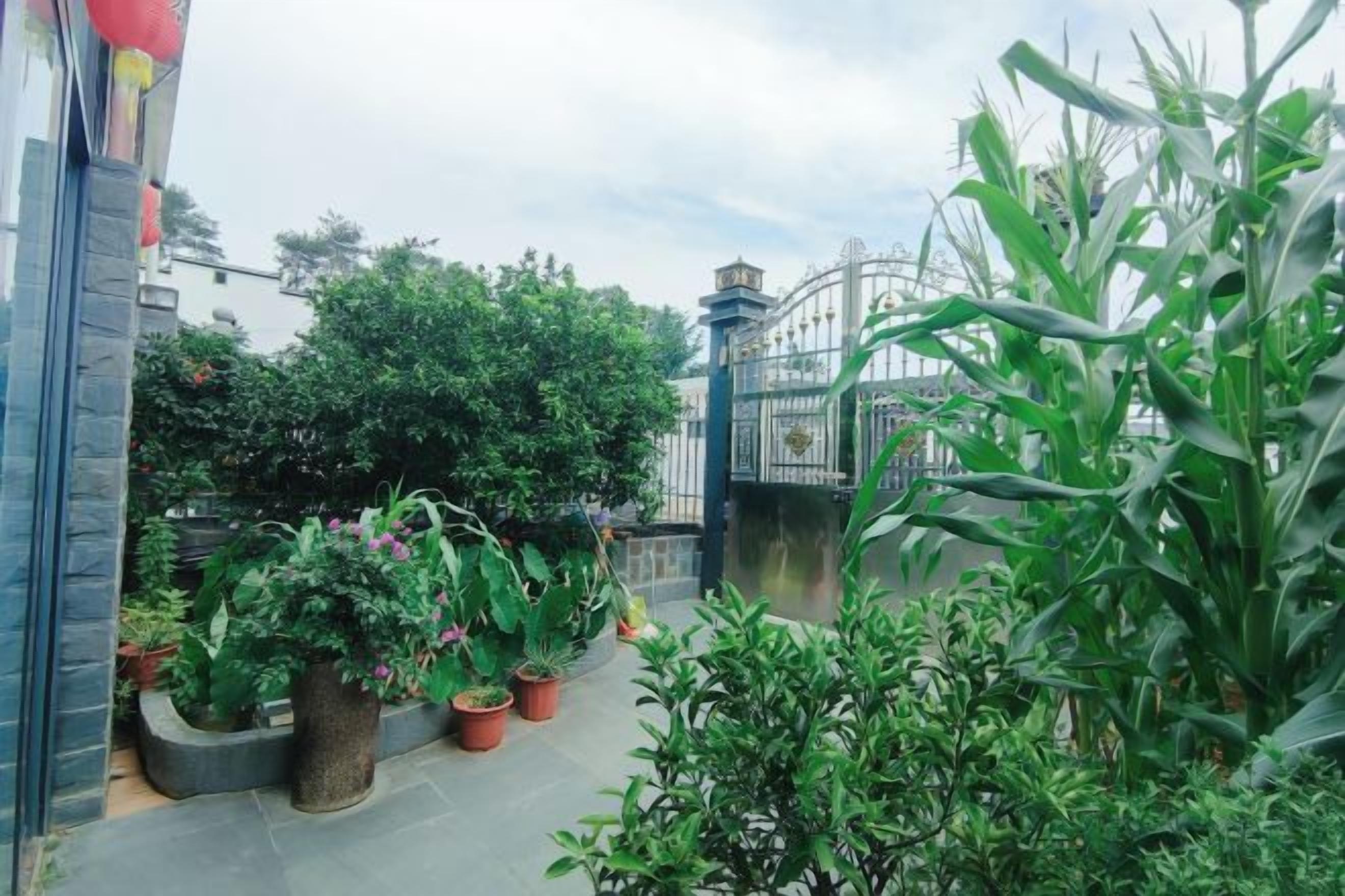 Un patio con plantas en macetas, una fuente de agua y una reja de metal.