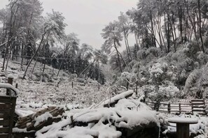 施設の敷地