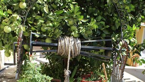 Un jardin agrémenté d’une arche en métal, de plantes en pot et d’un conteneur jaune.
