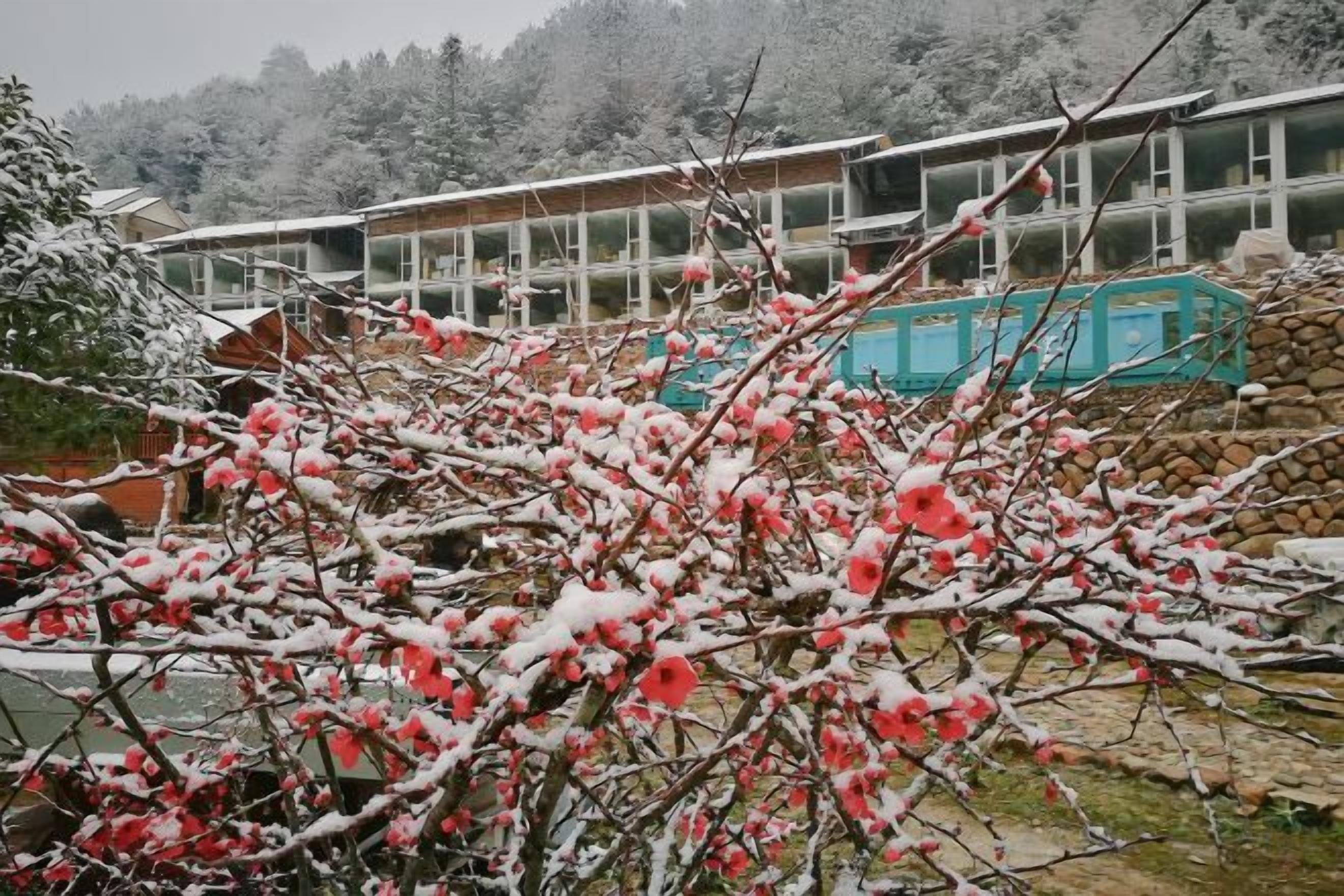 A building with multiple windows and a snow-covered landscape.