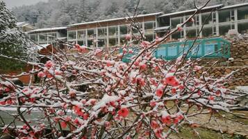 A building with multiple windows and a snow-covered landscape.