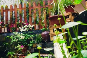 Ein Garten mit verschiedenen Kübelpflanzen und einem Holzzaun.