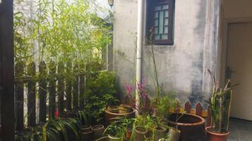 A courtyard with potted plants, a wooden fence, and a building with a window.