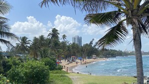 A beach with palm trees, a path leading to the shore, and a building in the background. - Modern Condo at Atlantis (San Juan)