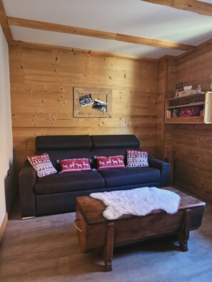 TV - Cosy accommodation in Savoyard chalet style (bonvillard)