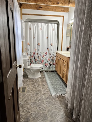 Hair dryer, towels, soap, shampoo