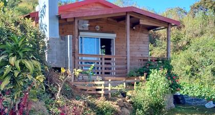 Magnificent chalet between sea and mountains