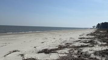 Plage, chaises longues, serviettes de plage
