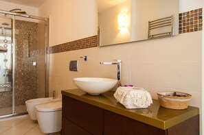 Shower, hair dryer, bidet, towels