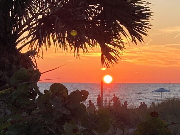 Sun loungers, beach towels