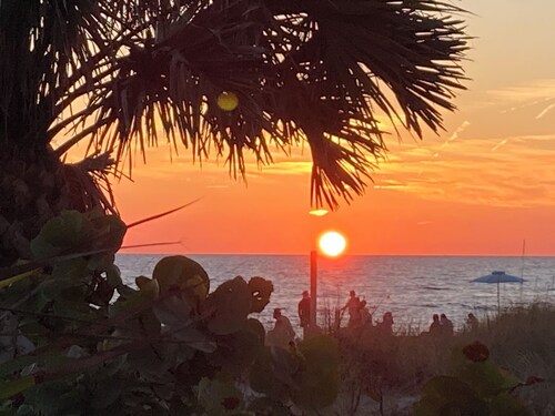 SW Florida Spring Training Location