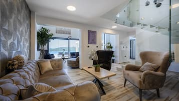 Smart TV, fireplace, video game console, DVD player