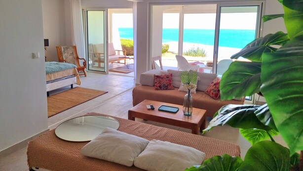 Un salon spacieux doté d’une grande fenêtre donnant sur une plage, d’un canapé agrémenté d’un vase de fleurs et d’un coin repas avec une table et des chaises.