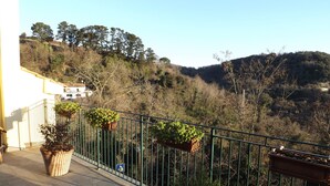 Un balcon agrémenté de plantes en pot et offrant une vue sur un paysage vallonné.