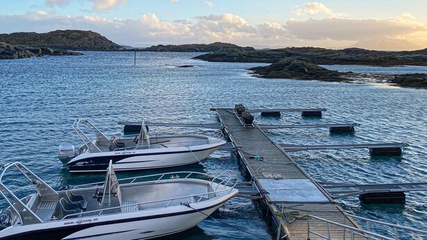 A marina with several boats docked at wooden piers. - Lovely apartment in Offersøy with sauna (Offersøy)