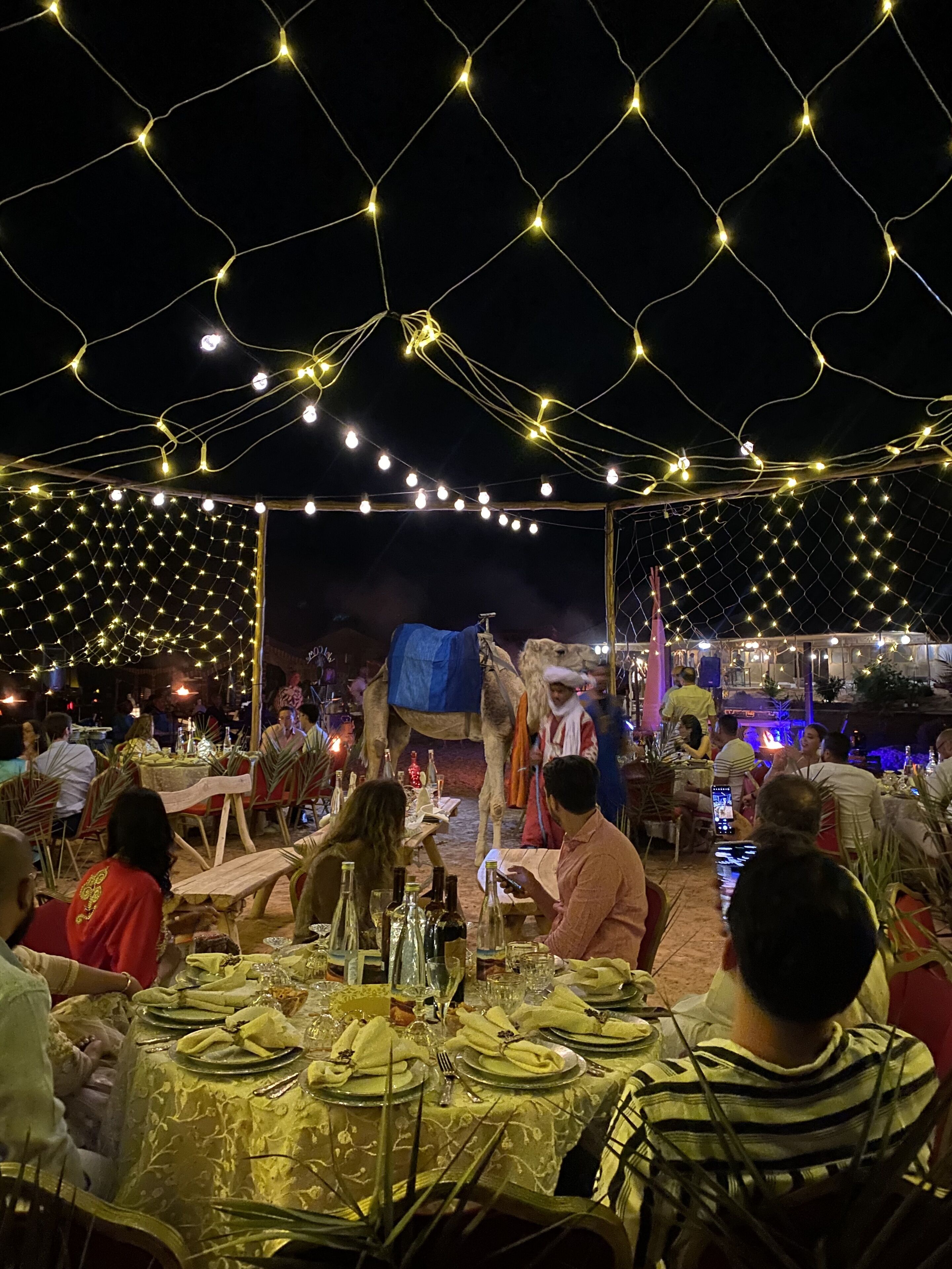 An outdoor dining area with tables set for guests, string lights overhead, and a camel in the background.