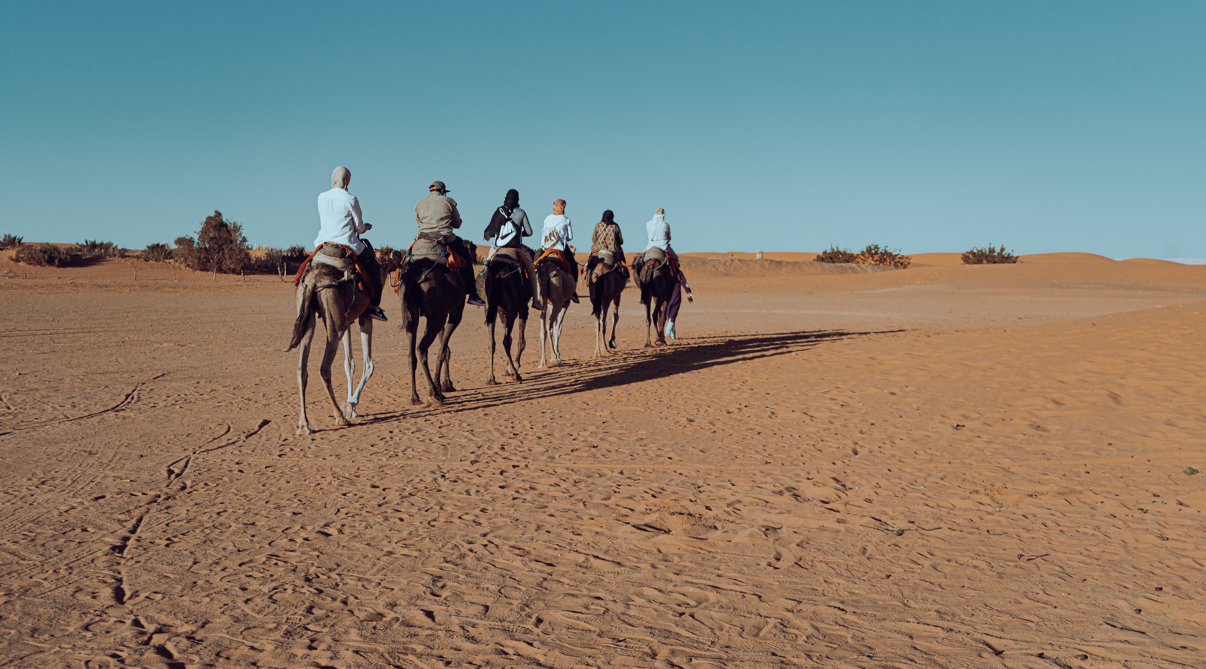 Un grupo de personas montando camellos en un desierto.