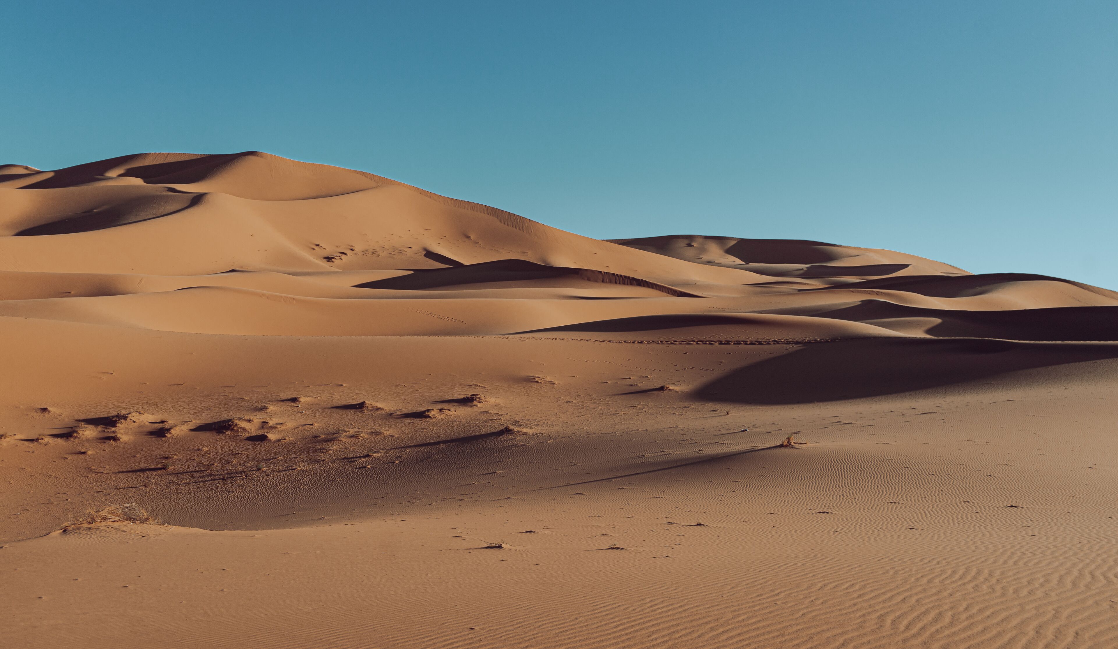 Wüstenlandschaft mit Sanddünen unter klarem Himmel.