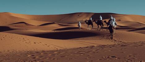 A desert landscape with sand dunes and people riding camels.