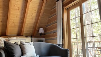 Smart TV, fireplace, books, stereo