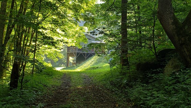 Un sentier forestier menant à une maison à laquelle on accède par un pont en bois.