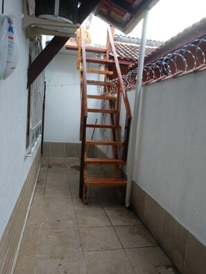 Parte interna